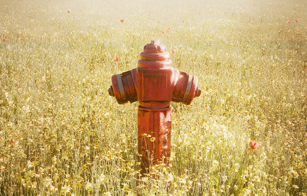 the Hydrant autor: Robert Kudera